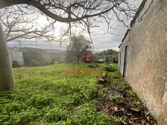 Terreno para Venda em Santa Clara e Castelo Viegas Foto 5