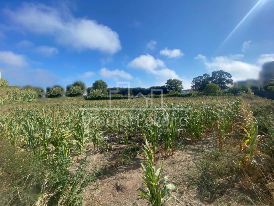 Terreno para Venda em Póvoa de Varzim, Beiriz e Argivai Foto 1