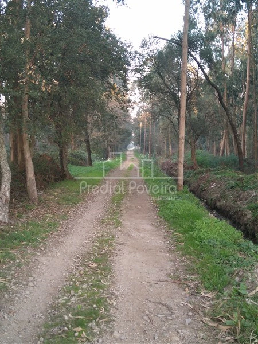 Terreno para Venda em Laundos Foto 1