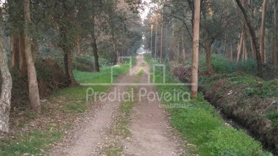 Terreno para Venda em Laundos