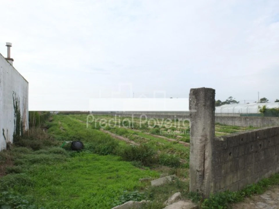 Terreno para Venda em Estela Foto 2