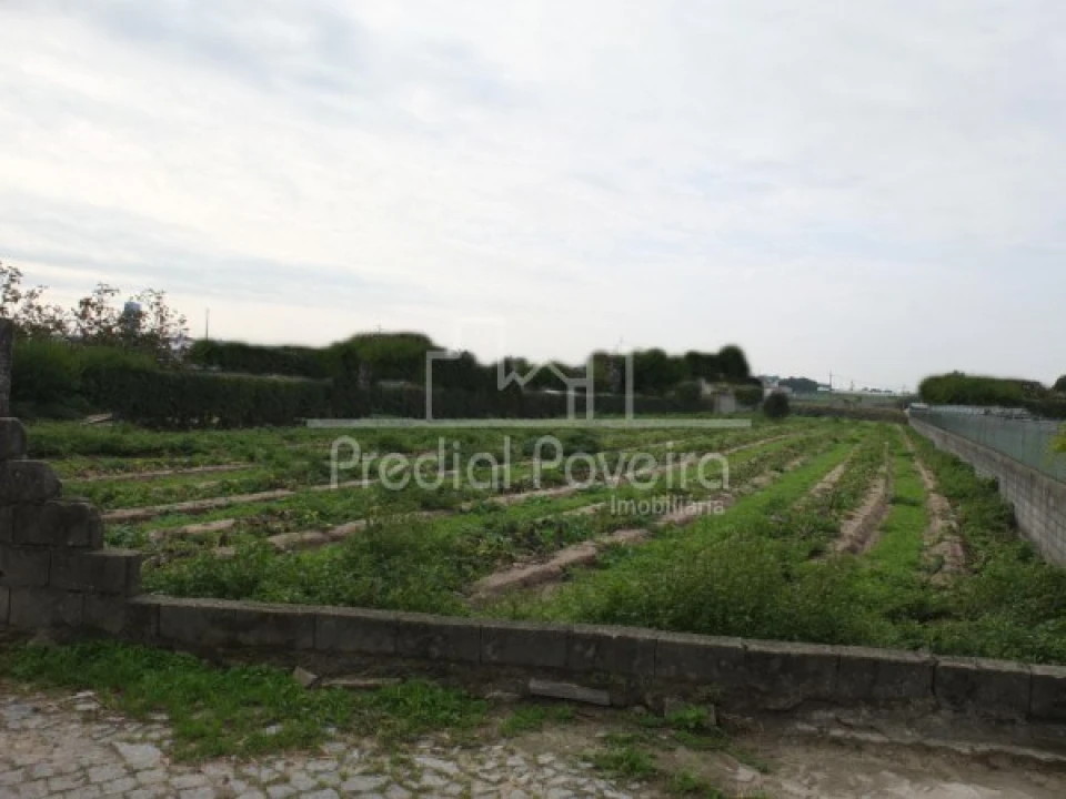 Terreno para Venda em Estela Foto 3