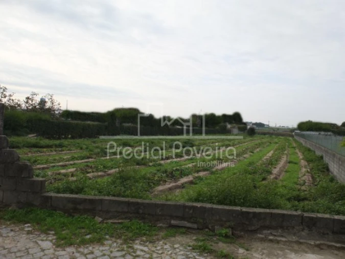 Terreno para Venda em Estela Foto 3