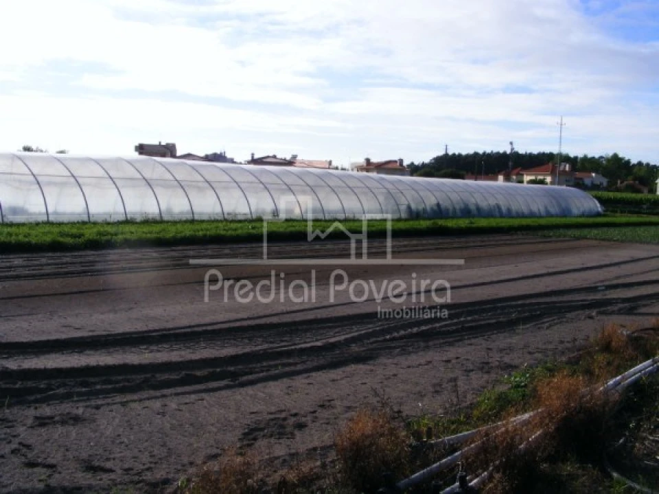 Terreno para Venda em Póvoa de Varzim, Beiriz e Argivai Foto 3