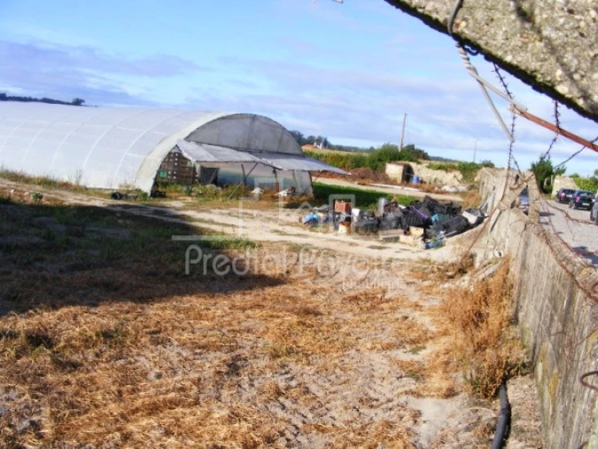 Terreno para Venda em Póvoa de Varzim, Beiriz e Argivai