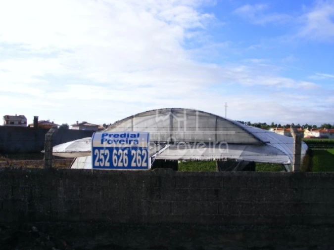 Terreno para Venda em Póvoa de Varzim, Beiriz e Argivai Foto 2