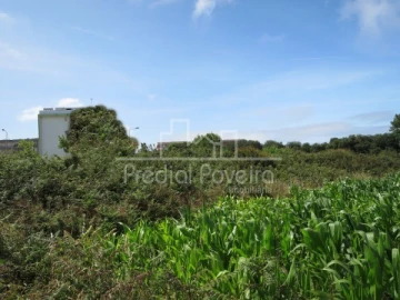 Terreno para Venda em Póvoa de Varzim, Beiriz e Argivai