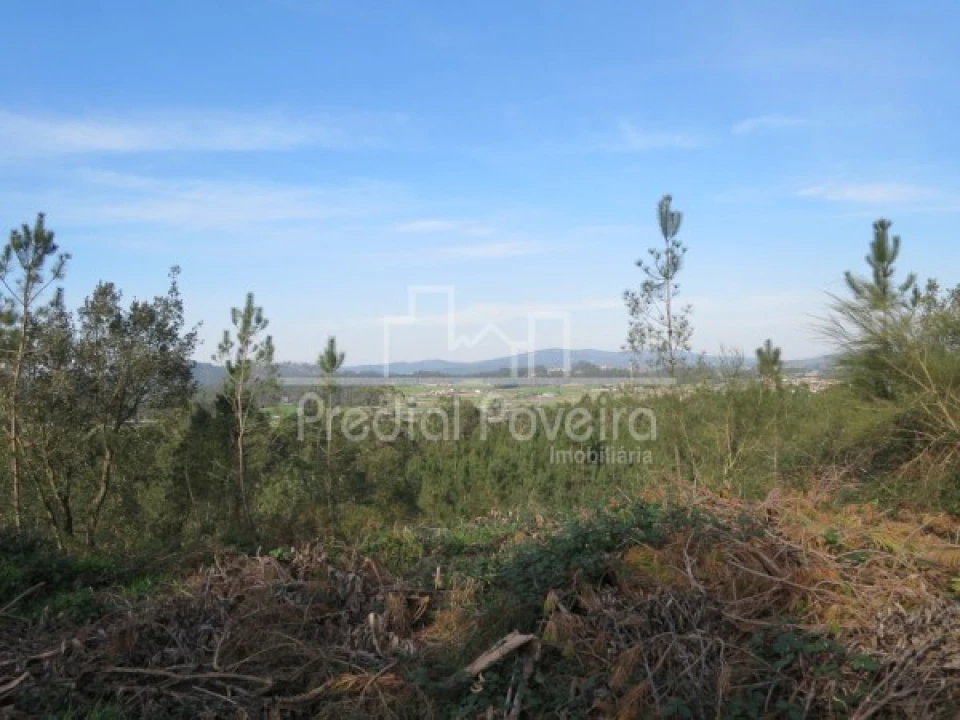 Terreno para Venda em Cristelo Foto 3