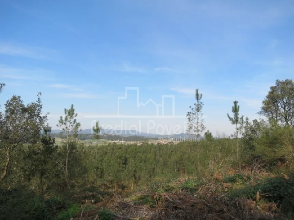 Terreno para Venda em Cristelo Foto 4