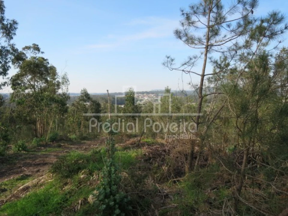 Terreno para Venda em Cristelo Foto 5