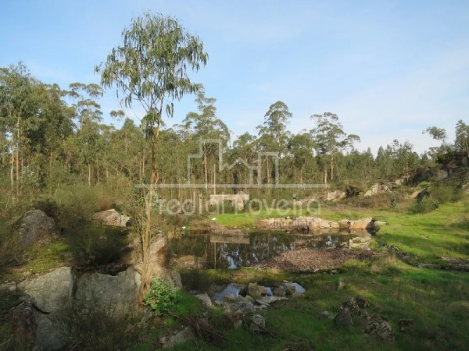 Terreno para Venda em Cristelo Foto 7