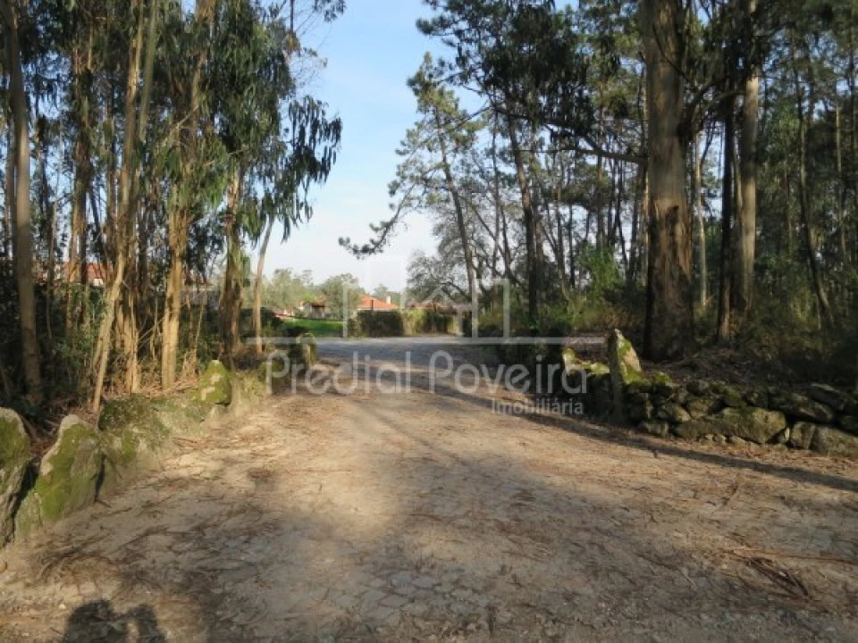 Terreno para Venda em Cristelo Foto 10