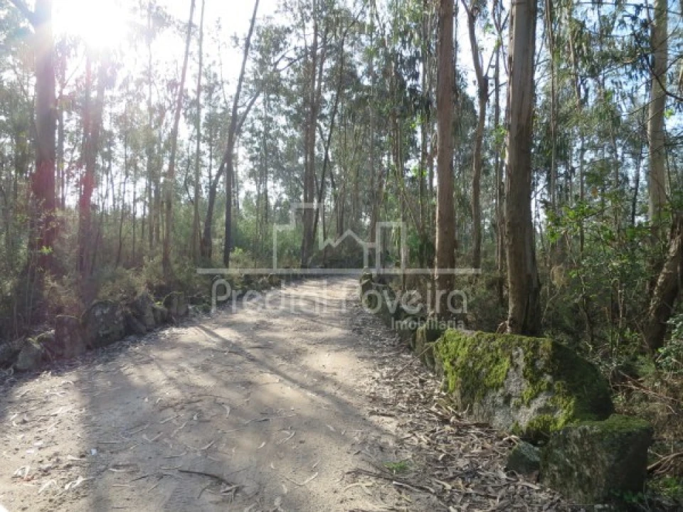 Terreno para Venda em Cristelo Foto 11