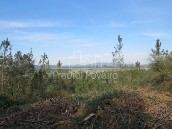 Terreno para Venda em Cristelo Foto 3