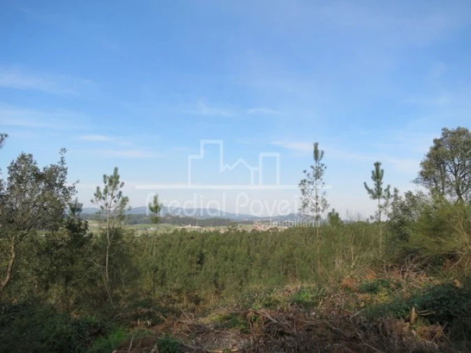 Terreno para Venda em Cristelo Foto 4