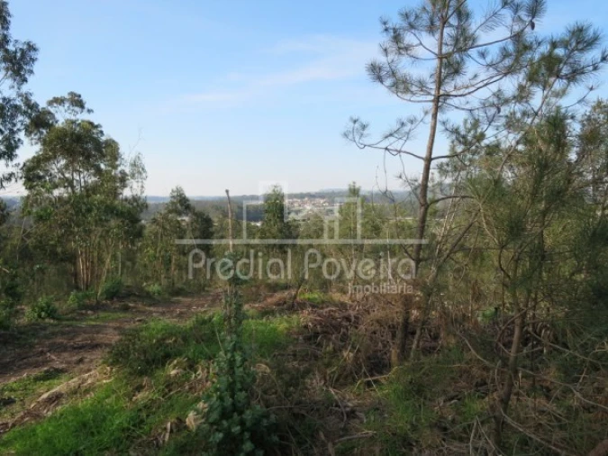 Terreno para Venda em Cristelo Foto 5