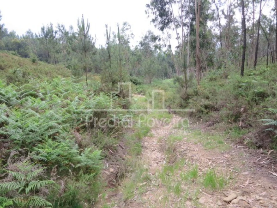 Terreno para Venda em Gondifelos, Cavalões e Outiz Foto 2