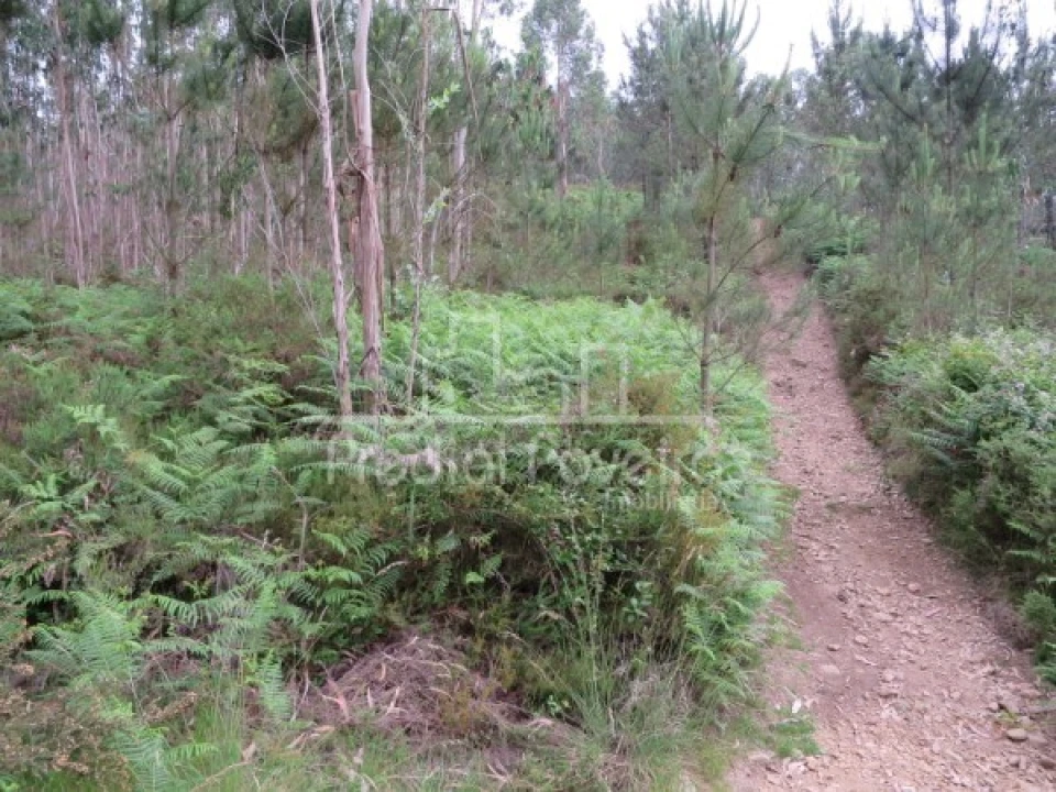 Terreno para Venda em Gondifelos, Cavalões e Outiz Foto 4