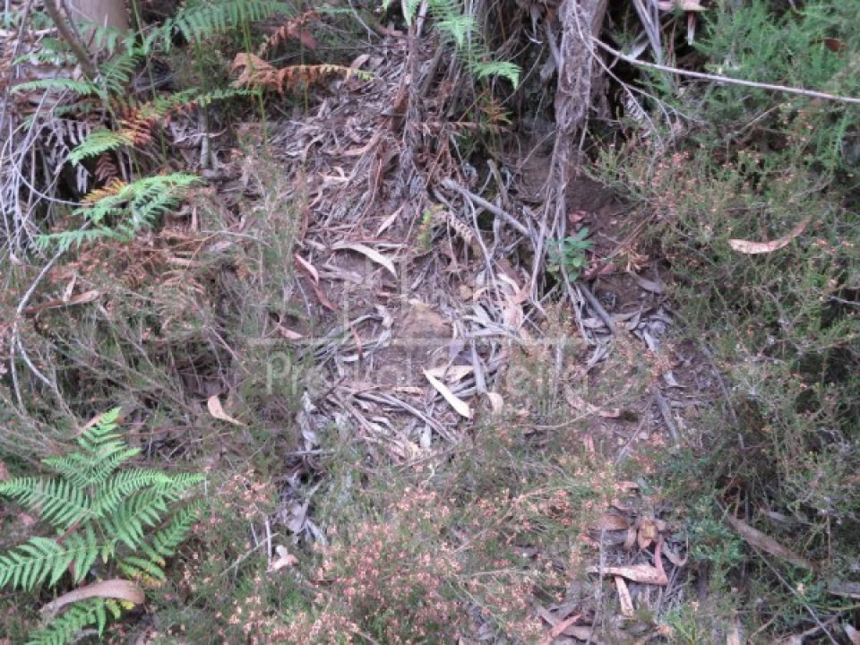 Terreno para Venda em Gondifelos, Cavalões e Outiz Foto 8