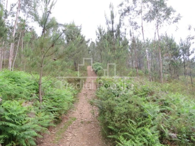 Terreno para Venda em Gondifelos, Cavalões e Outiz Foto 1