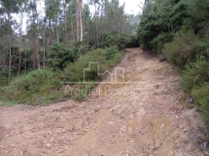 Terreno para Venda em Gondifelos, Cavalões e Outiz Foto 7