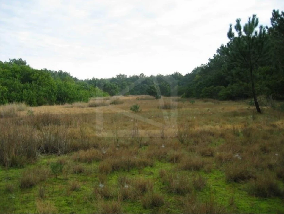 Terreno para Venda em Torreira Foto 6