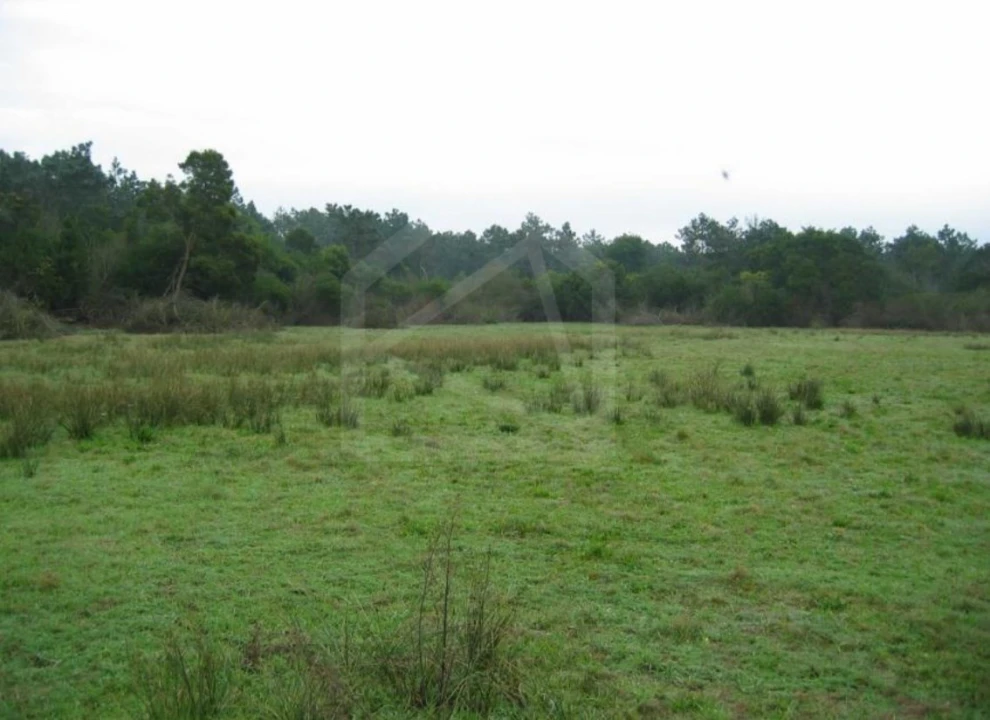 Terreno para Venda em Torreira Foto 7