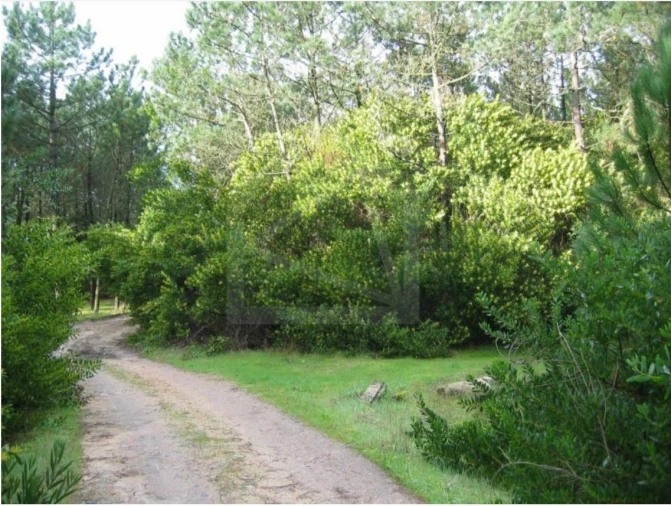 Terreno para Venda em Torreira Foto 5