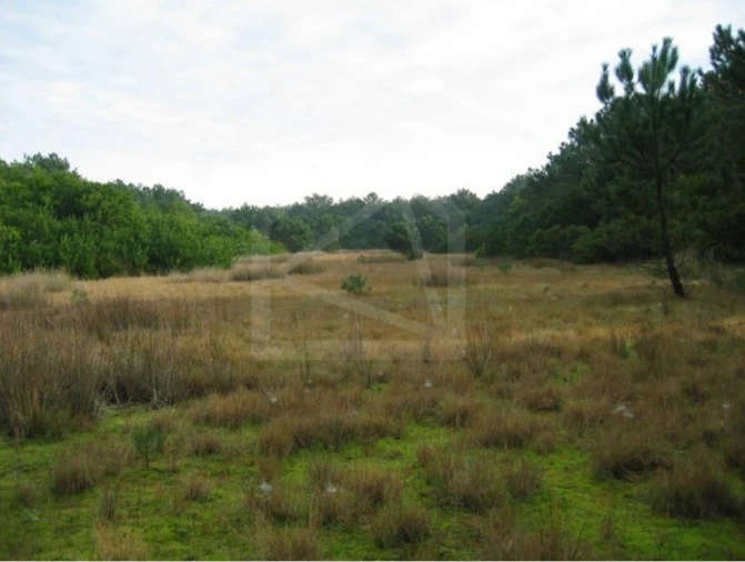 Terreno para Venda em Torreira Foto 6