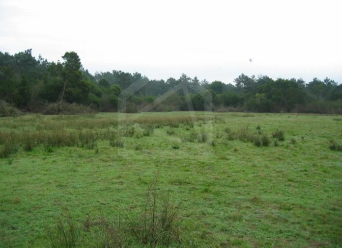 Terreno para Venda em Torreira Foto 7