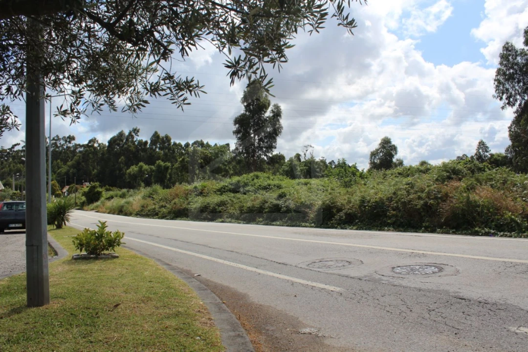 Terreno para Venda em São Paio de Oleiros Foto 1