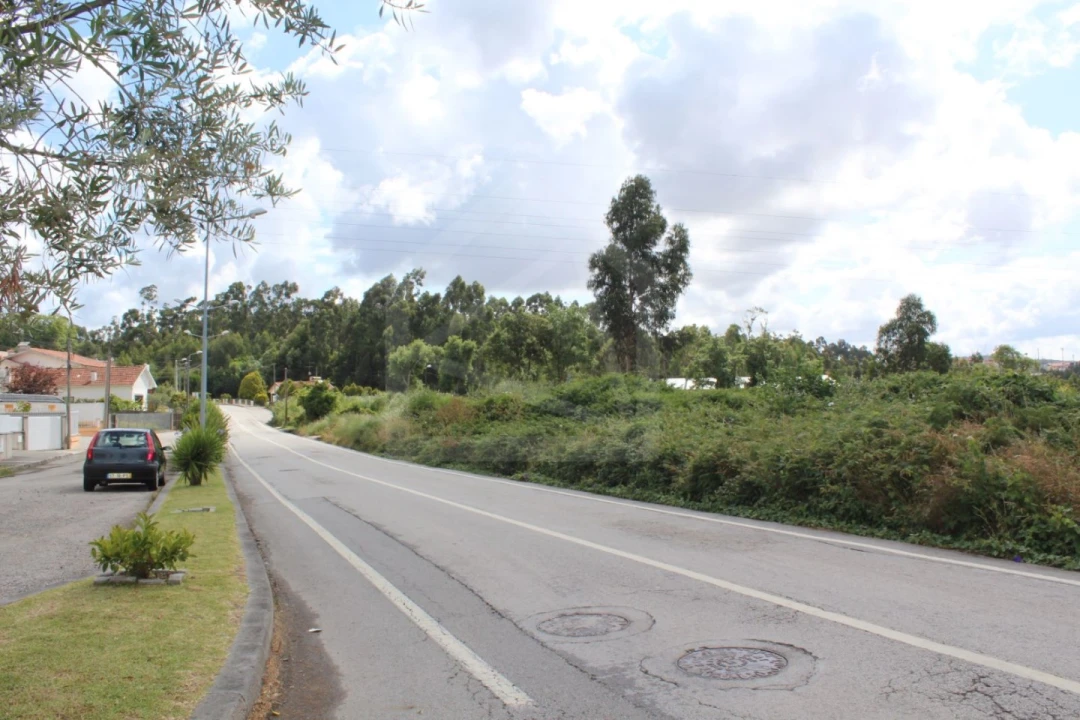 Terreno para Venda em São Paio de Oleiros Foto 7
