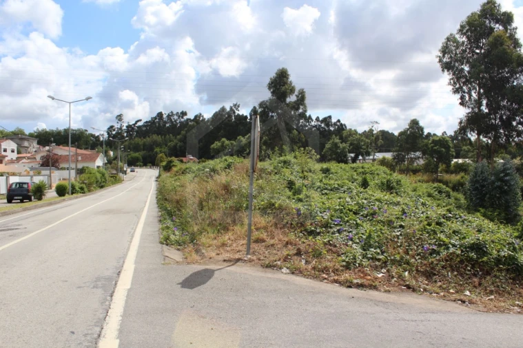 Terreno para Venda em São Paio de Oleiros Foto 2