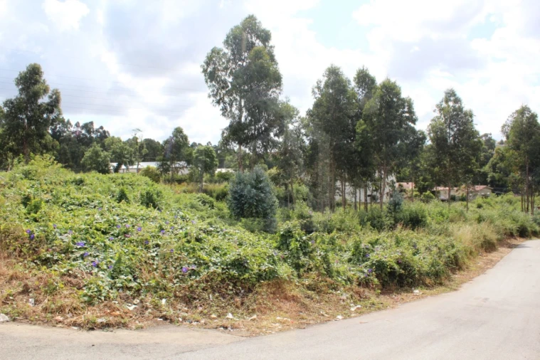 Terreno para Venda em São Paio de Oleiros Foto 3