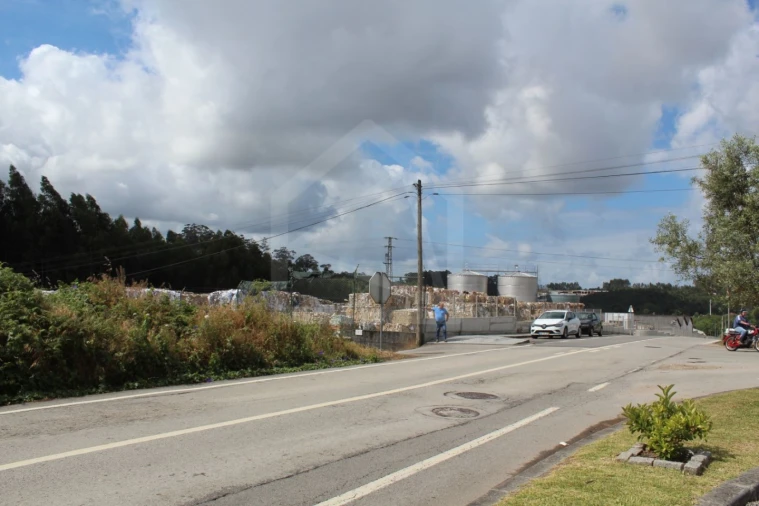 Terreno para Venda em São Paio de Oleiros Foto 5