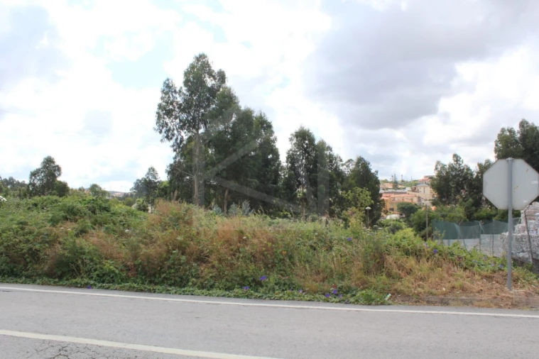 Terreno para Venda em São Paio de Oleiros Foto 6