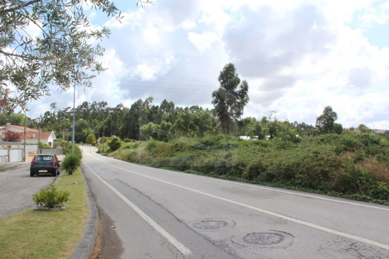 Terreno para Venda em São Paio de Oleiros Foto 7
