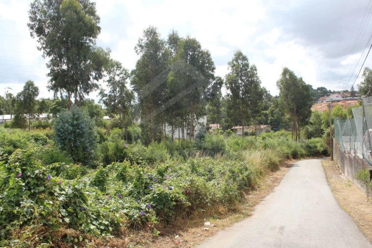 Terreno para Venda em São Paio de Oleiros Foto 9
