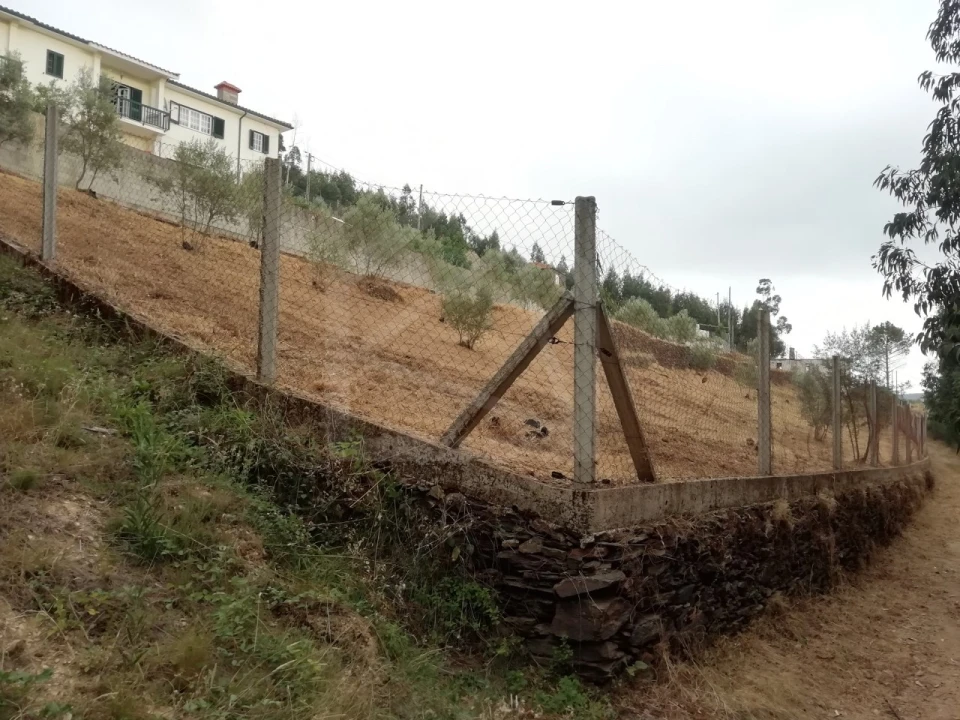 Terreno para Venda em Raiva, Pedorido e Paraíso Foto 3