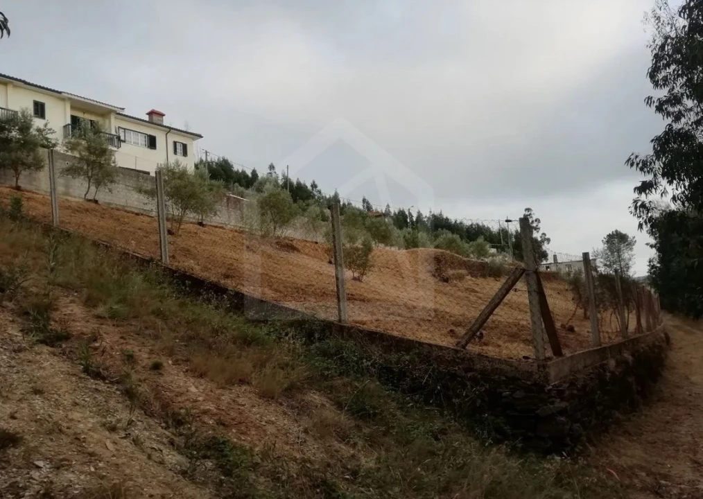 Terreno para Venda em Raiva, Pedorido e Paraíso Foto 6