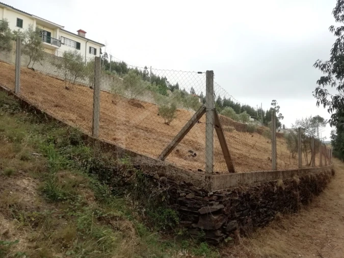 Terreno para Venda em Raiva, Pedorido e Paraíso Foto 3