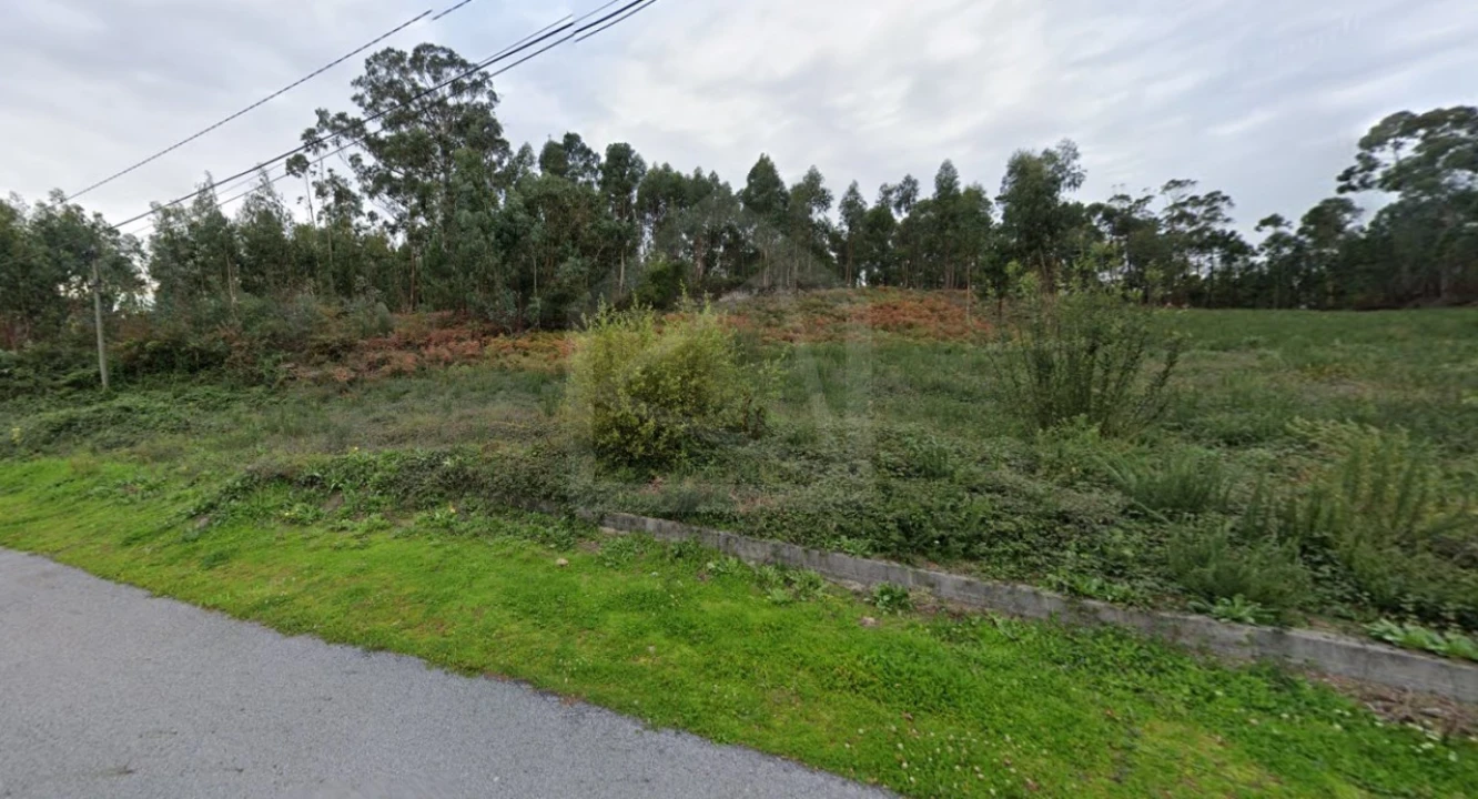 Terreno para Venda em Cesar Foto 1