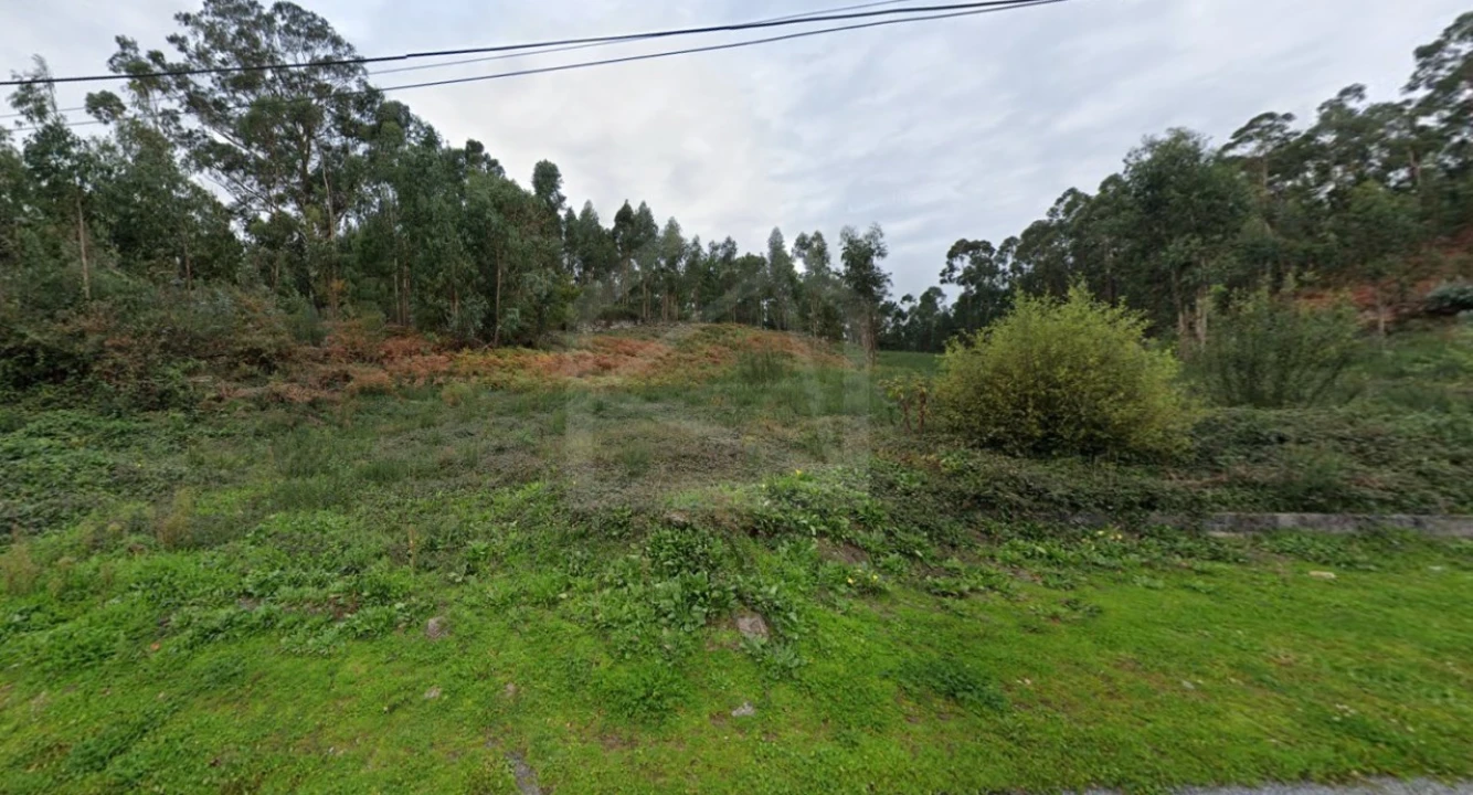 Terreno para Venda em Cesar Foto 4