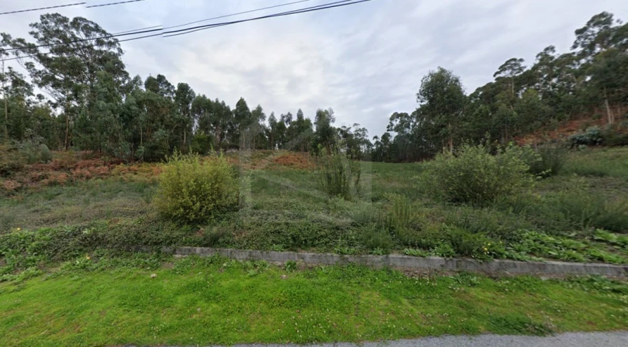 Terreno para Venda em Cesar Foto 3