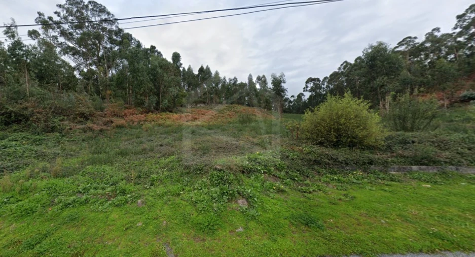 Terreno para Venda em Cesar Foto 4