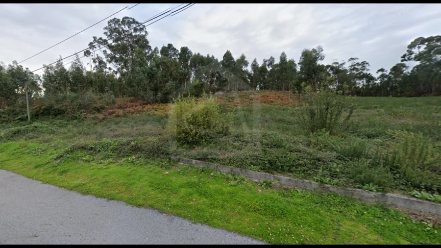 Terreno para Venda em Cesar