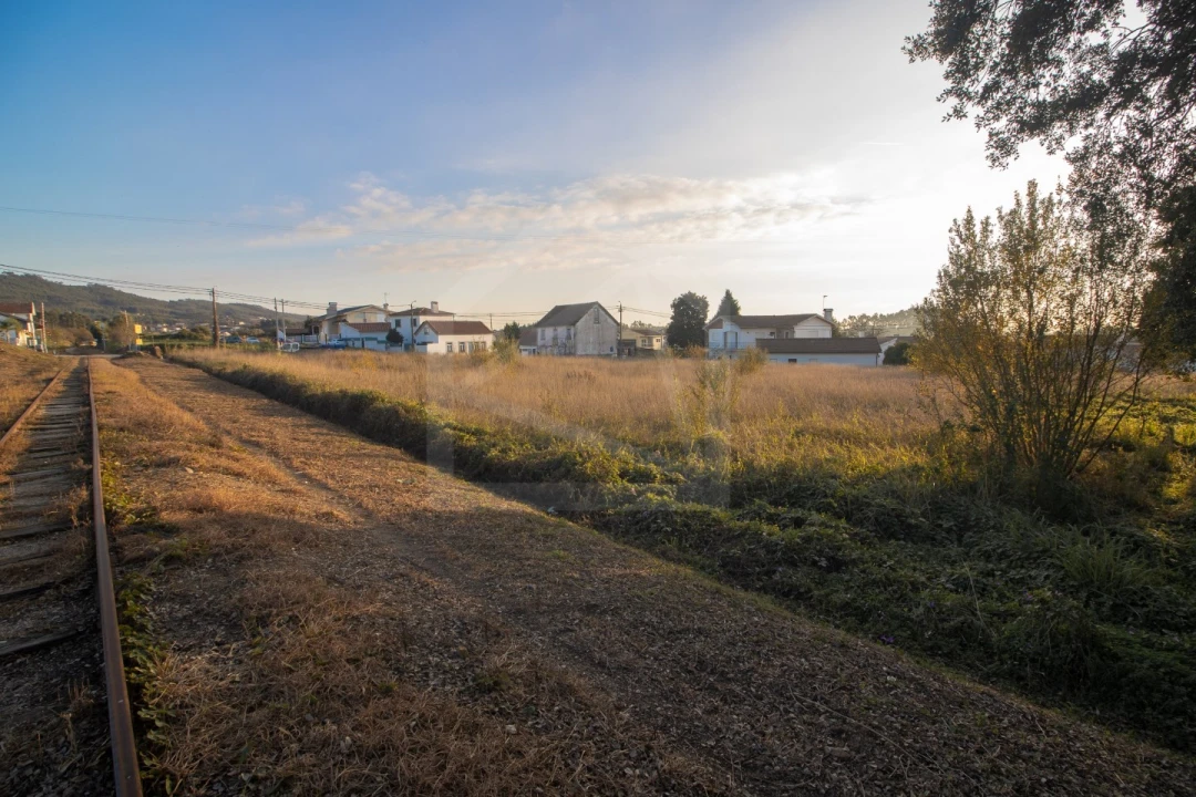 Terreno para Venda em Pinheiro da Bemposta, Travanca e Palmaz Foto 1