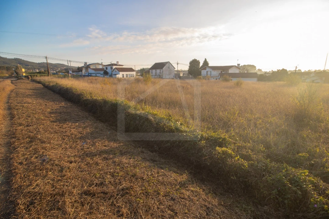 Terreno para Venda em Pinheiro da Bemposta, Travanca e Palmaz Foto 3