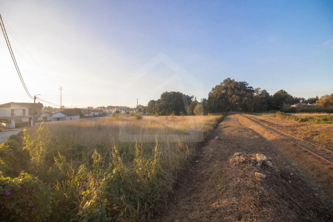 Terreno para Venda em Pinheiro da Bemposta, Travanca e Palmaz Foto 5