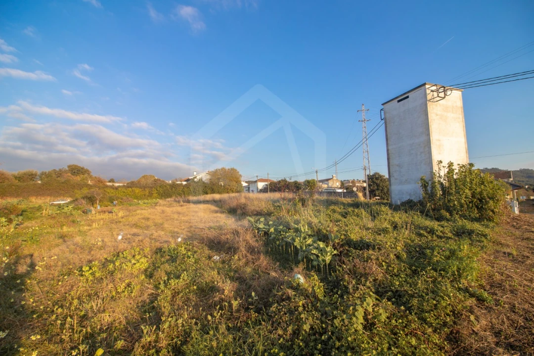 Terreno para Venda em Pinheiro da Bemposta, Travanca e Palmaz Foto 2